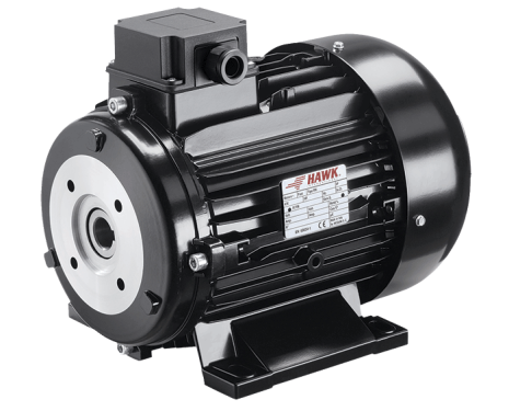 Hollow shaft electric motor
