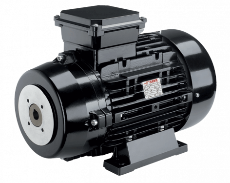 Double flange electric motor