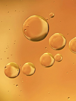 olio per pompe